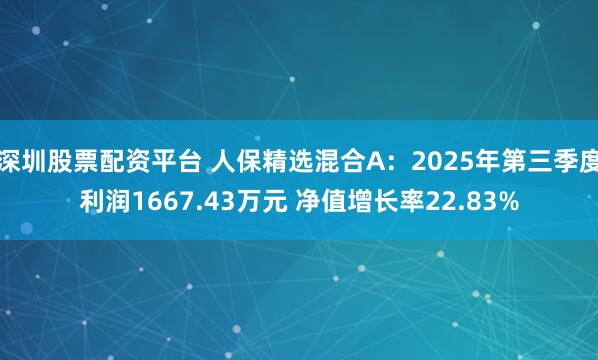 深圳股票配资平台 人保精选混合A：2025年第三季度利润1667.43万元 净值增长率22.83%