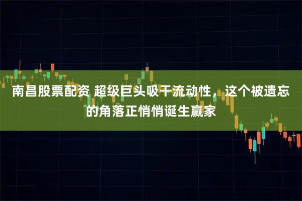 南昌股票配资 超级巨头吸干流动性，这个被遗忘的角落正悄悄诞生赢家